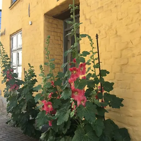 Apartment Ankerplatz Rostock